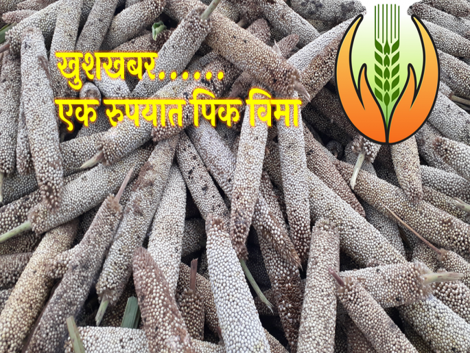 Crop insurance in one rupee | मुदत संपतेय चला लवकर भरू एक रुपयात पिक विमा Crop insurance in one rupee | मुदत संपतेय चला लवकर भरू एक रुपयात पिक विमा