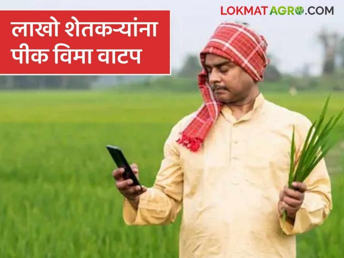 Latest news Pik Vima Yojana Crop insurance distributed through DBT to lakhs of farmers in india | देशातील लाखो शेतकऱ्यांना डीबीटीद्वारे पीक विम्याचे वाटप, महाराष्ट्राला किती मिळाले? 