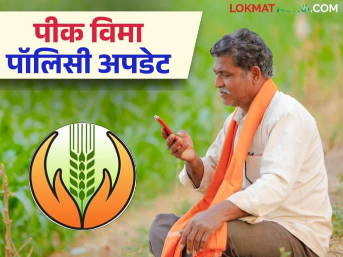 Latest news Pik Vima Policy your crop insurance policy paid or approved Read in detail | Pik Vima Policy : तुमची पीकविमा पॉलिसी पेड की अप्रूव्ह, याचा अर्थ काय? वाचा सविस्तर  Latest news Pik Vima Policy your crop insurance policy paid or approved Read in detail | Pik Vima Policy : तुमची पीकविमा पॉलिसी पेड की अप्रूव्ह, याचा अर्थ काय? वाचा सविस्तर