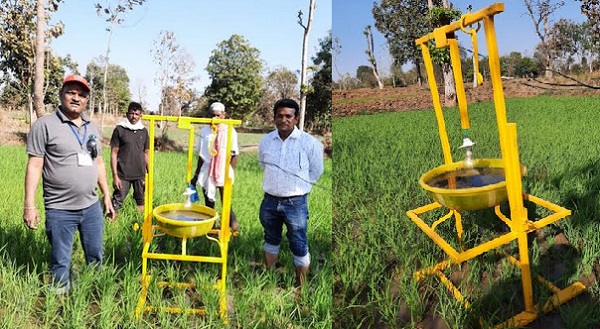 Protection of crops from pests | पिकांचे किडीपासून होणार संरक्षण, 'या' कृषी अधिकाऱ्याने तयार केले नवे तंत्र Protection of crops from pests | पिकांचे किडीपासून होणार संरक्षण, 'या' कृषी अधिकाऱ्याने तयार केले नवे तंत्र