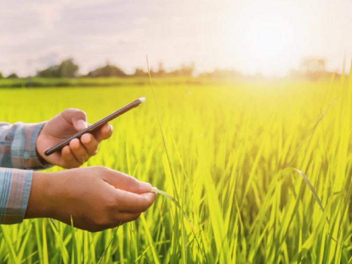 There is no online record of crops, neither are the benefits of the schemes | पीकपेऱ्याची ऑनलाइन नोंद नाही, तर योजनांचा लाभही नाही There is no online record of crops, neither are the benefits of the schemes | पीकपेऱ्याची ऑनलाइन नोंद नाही, तर योजनांचा लाभही नाही