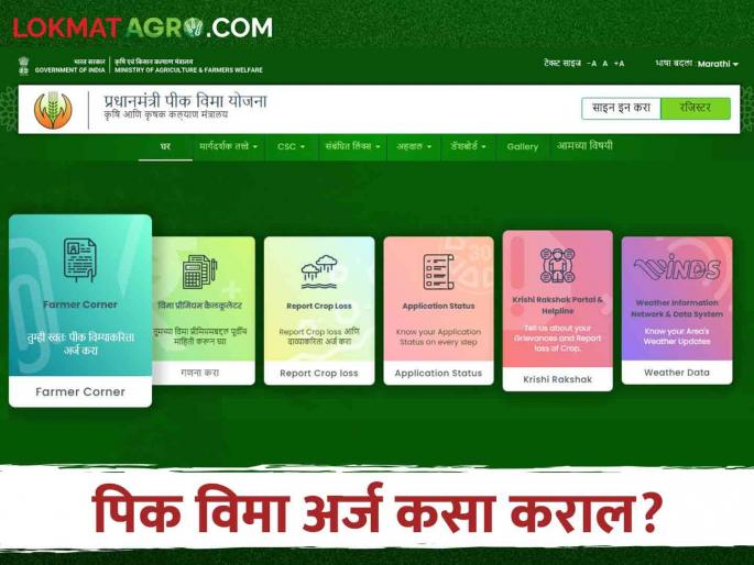 Pik Vima: is taking out crop insurance for one rupee. How to apply online from mobile | Pik Vima एक रुपयात पीक विमा काढताय? कसा कराल मोबाईलवरून अर्ज Pik Vima: is taking out crop insurance for one rupee. How to apply online from mobile | Pik Vima एक रुपयात पीक विमा काढताय? कसा कराल मोबाईलवरून अर्ज