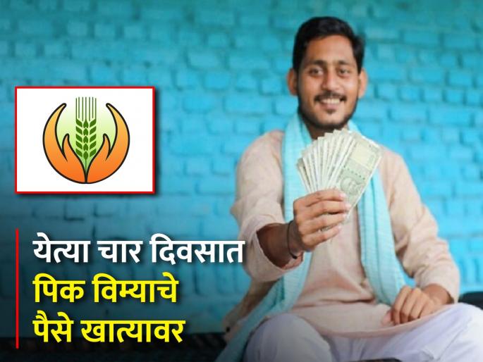 613 crore compensation to farmers for crop insurance | शेतकऱ्यांना मिळणार ६१३ कोटींची पिक विमा भरपाई 613 crore compensation to farmers for crop insurance | शेतकऱ्यांना मिळणार ६१३ कोटींची पिक विमा भरपाई