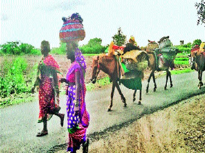 Fear of farmers in the Giriati region, fear of burning crops | जिरायती भागातील शेतकऱ्यांच्या नजरा आकाशाकडे, पिके जळून जाण्याची भीती Fear of farmers in the Giriati region, fear of burning crops | जिरायती भागातील शेतकऱ्यांच्या नजरा आकाशाकडे, पिके जळून जाण्याची भीती