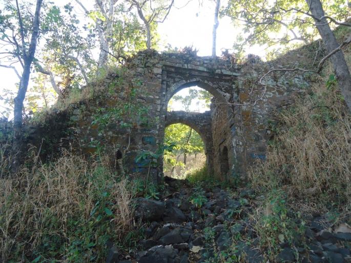 Pimpaldoh fort stuck in forest department law | वनविभागाच्या कायद्यात अडकला पिंपळडोह किल्ला Pimpaldoh fort stuck in forest department law | वनविभागाच्या कायद्यात अडकला पिंपळडोह किल्ला