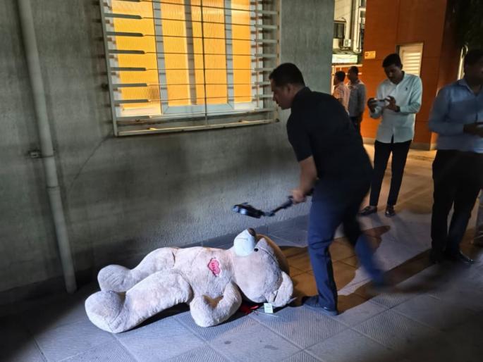 teddy bear causes a stir in pimpri bomb squad rushes in and breathe a sigh of relief | ‘टेडीबेअर’मुळे खळबळ; बॉम्ब शोधक पथकाची धाव अन् सोडला सुटकेचा निश्वास teddy bear causes a stir in pimpri bomb squad rushes in and breathe a sigh of relief | ‘टेडीबेअर’मुळे खळबळ; बॉम्ब शोधक पथकाची धाव अन् सोडला सुटकेचा निश्वास