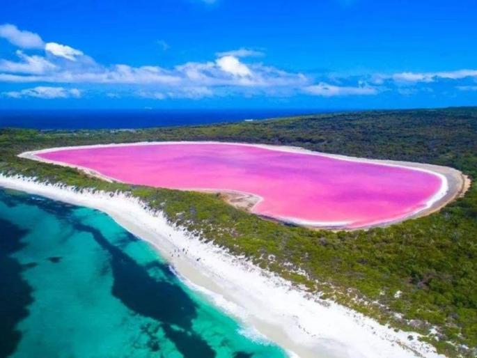 Pink lake in Australia weird lake bubblegum color scientists find reason | पृथ्वीवर इथे आहे गुलाबी रंगाचं पाणी असलेला तलाव, वैज्ञानिकही झाले होते हैराण Pink lake in Australia weird lake bubblegum color scientists find reason | पृथ्वीवर इथे आहे गुलाबी रंगाचं पाणी असलेला तलाव, वैज्ञानिकही झाले होते हैराण