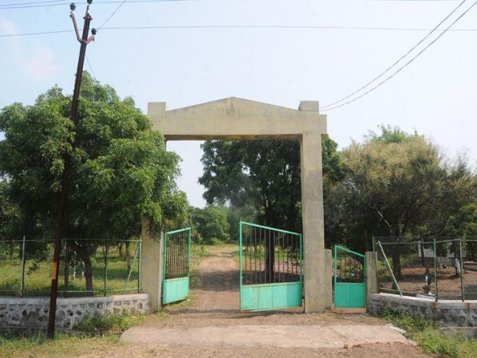 Pipeline from Mehrun to landorkhori | लांडोरखोरी वनोद्यानासाठी मेहरूणमधून पाईपलाईन  Pipeline from Mehrun to landorkhori | लांडोरखोरी वनोद्यानासाठी मेहरूणमधून पाईपलाईन