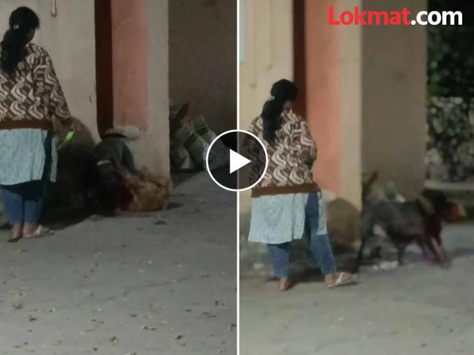 Stray pregnant dog seriously injured in pitbull attack, case registered against owner | पिटबूलच्या हल्ल्यात भटके गरोदर श्वान गंभीर जखमी, मालकावर गुन्हा दाखल Stray pregnant dog seriously injured in pitbull attack, case registered against owner | पिटबूलच्या हल्ल्यात भटके गरोदर श्वान गंभीर जखमी, मालकावर गुन्हा दाखल