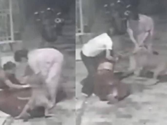 Video: Woman attacked by pitbull; People tried to rescue her, but... | Video: महिलेवर पिटबुल कुत्र्याचा हल्ला; लोक सोडवण्याचा प्रयत्न करत राहिले, पण... Video: Woman attacked by pitbull; People tried to rescue her, but... | Video: महिलेवर पिटबुल कुत्र्याचा हल्ला; लोक सोडवण्याचा प्रयत्न करत राहिले, पण...