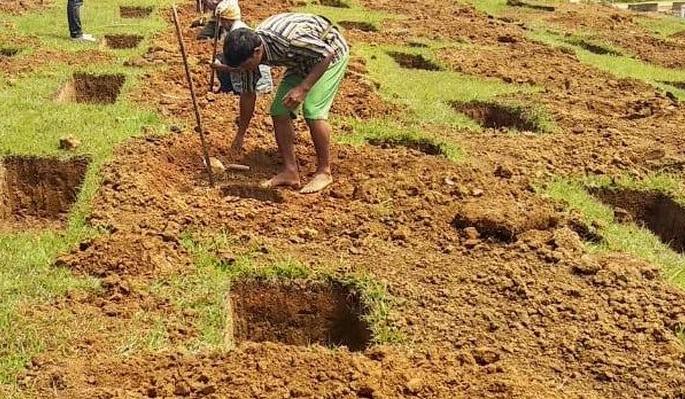 Tree plantation aims 65 million; 62 million pits! | वृक्ष लागवडीचे उद्दिष्ट ६५ लाख; खड्डे ६२ लाख!  Tree plantation aims 65 million; 62 million pits! | वृक्ष लागवडीचे उद्दिष्ट ६५ लाख; खड्डे ६२ लाख!