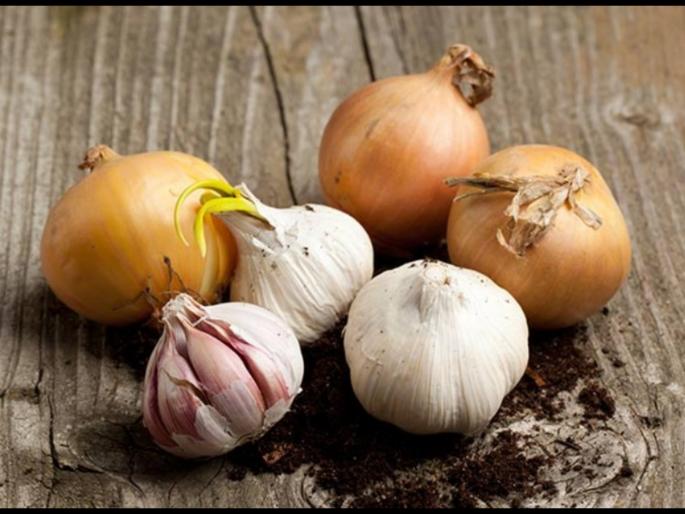 People of Triloki Bigha village near Jehanabad Bihar do not use garlic and onion | लसूण-कांद्याच्या नावानेही घाबरतात या गावातील लोक, 45 वर्षापासून कुणीच केलं नाही सेवन People of Triloki Bigha village near Jehanabad Bihar do not use garlic and onion | लसूण-कांद्याच्या नावानेही घाबरतात या गावातील लोक, 45 वर्षापासून कुणीच केलं नाही सेवन