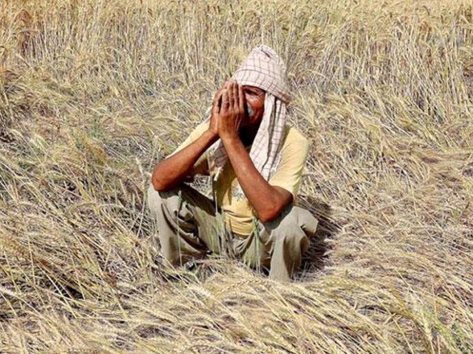 Crop Insurance of Rs. 2 ; The farmer in Karnataka got the check | 'तब्बल' 2 रुपयांचा पीक विमा; कर्नाटकातील शेतकऱ्याला आला चेक Crop Insurance of Rs. 2 ; The farmer in Karnataka got the check | 'तब्बल' 2 रुपयांचा पीक विमा; कर्नाटकातील शेतकऱ्याला आला चेक