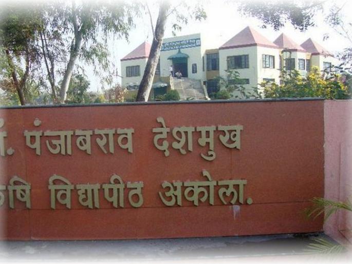 Agriculture University employees' agitation for 7th pay commission from today | ७ व्या वेतन आयोगासाठी कृषी विद्यापीठ कर्मचाऱ्यांचे मंगळवारपासून आंदोलन Agriculture University employees' agitation for 7th pay commission from today | ७ व्या वेतन आयोगासाठी कृषी विद्यापीठ कर्मचाऱ्यांचे मंगळवारपासून आंदोलन