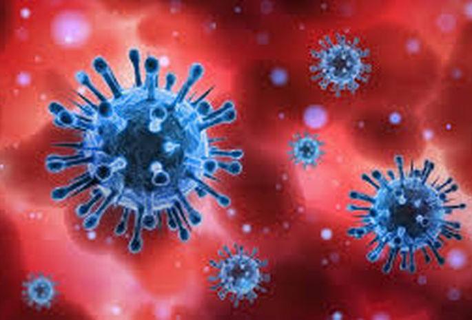 Two more died, 51 positive; 79 coronal free | आणखी दोघांचा मृत्यू, ५१ पॉझिटिव्ह; ७९ कोरोनामुक्त Two more died, 51 positive; 79 coronal free | आणखी दोघांचा मृत्यू, ५१ पॉझिटिव्ह; ७९ कोरोनामुक्त