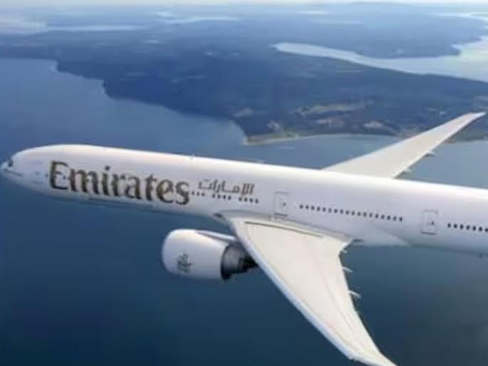 Ahmedabad Air India Flight AI171 Crash : Memories of the Flamingo plane crash came back fresh, 39 stray birds died in Ghatkopar | फ्लेमिंगो विमान दुर्घटनेच्या आठवणी झाल्या ताज्या, भरकटलेले ३९ पक्षी घाटकोपरमध्ये दगावले होते