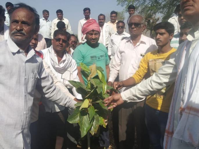 Tree conservation; Eco-friendly initative by a Family | वृक्ष संवर्धनातून स्मृतीचे जतन; पर्यावरणपुरक रक्षाविसर्जन करून लावला वटवृक्ष