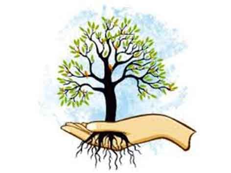 There is a need to plant integrated tree on hills | डोंगरांवर एकात्मिक वृक्ष लागवड करण्याची गरज