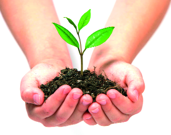 Plantation by Bajajnagar Social Idea Forum | बजाजनगरात सामाजिक विचार मंचतर्फे वृक्षारोपण Plantation by Bajajnagar Social Idea Forum | बजाजनगरात सामाजिक विचार मंचतर्फे वृक्षारोपण