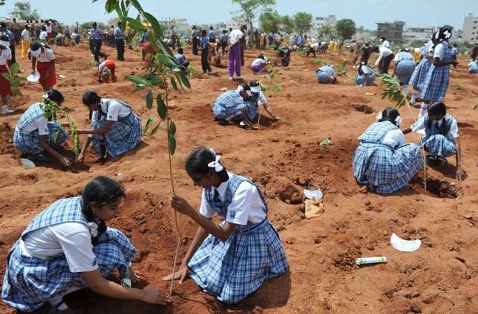 Plantation; 29 district not completed target | वृक्षलागवडीत २९ जिल्ह्यांवर लाल शिक्का