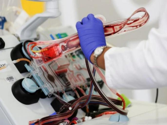 Plasma therapy, testing by antigen kits are coronal warfare devices | CoronaVirus News : तीन उपायांच्या मदतीनं सरकार कोरोनाला थोपवणार; लढ्याला यश मिळणार? Plasma therapy, testing by antigen kits are coronal warfare devices | CoronaVirus News : तीन उपायांच्या मदतीनं सरकार कोरोनाला थोपवणार; लढ्याला यश मिळणार?