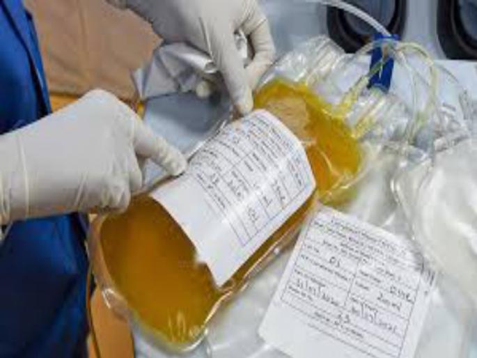 Plasma donors will gather a team of two hundred people to start the plasma strike of Punekars | पुणेकरांच्या प्लाझ्मा स्ट्राईकला सुरुवात, दोनशे लोकांची टीम गोळा करणार प्लाझ्मादाते Plasma donors will gather a team of two hundred people to start the plasma strike of Punekars | पुणेकरांच्या प्लाझ्मा स्ट्राईकला सुरुवात, दोनशे लोकांची टीम गोळा करणार प्लाझ्मादाते