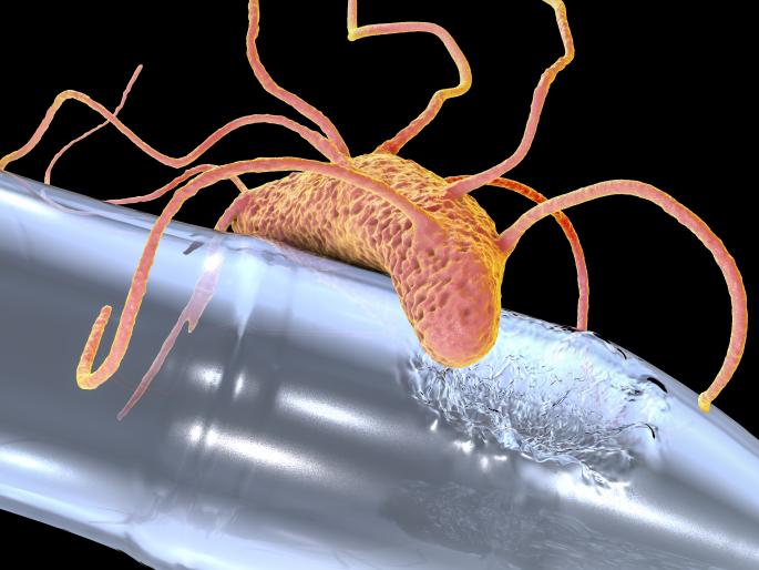 scientists found plastic eating bacteria | प्लॅस्टिक खाणारा बॅक्टेरिया? हो; पण थांबा! scientists found plastic eating bacteria | प्लॅस्टिक खाणारा बॅक्टेरिया? हो; पण थांबा!