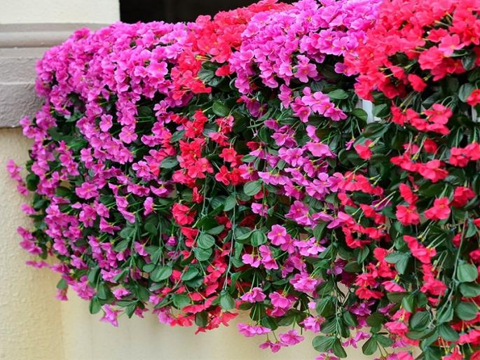 Petition to National Green Tribunal against plastic flowers | Pune: प्लास्टिकच्या फुलांविरोधात राष्ट्रीय हरित लवादात याचिका Petition to National Green Tribunal against plastic flowers | Pune: प्लास्टिकच्या फुलांविरोधात राष्ट्रीय हरित लवादात याचिका