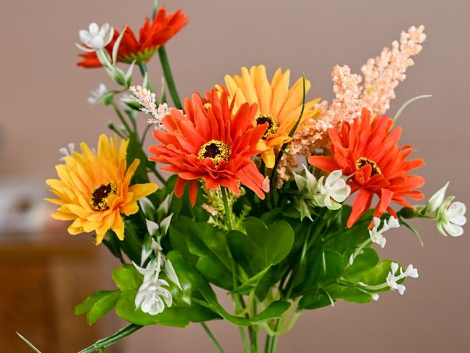 Plastic flowers are not banned, Central Government informs High Court | प्लास्टिकची फुले प्रतिबंधित नाहीत, केंद्र सरकारची उच्च न्यायालयाला माहिती Plastic flowers are not banned, Central Government informs High Court | प्लास्टिकची फुले प्रतिबंधित नाहीत, केंद्र सरकारची उच्च न्यायालयाला माहिती