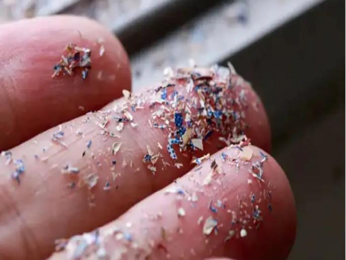 Has plastic gone into our brains Do you really need to worry | प्लास्टिक आपल्या मेंदूत गेले? खरेच चिंता करावी का?; रक्तवाहिन्या आणि हृदयामध्ये आढळले मायक्रोप्लास्टिक Has plastic gone into our brains Do you really need to worry | प्लास्टिक आपल्या मेंदूत गेले? खरेच चिंता करावी का?; रक्तवाहिन्या आणि हृदयामध्ये आढळले मायक्रोप्लास्टिक