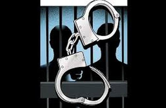 Nasir Khan murder accused remanded in police custody | नासीर खान हत्याकांडातील आरोपींना पोलिस कोठडी