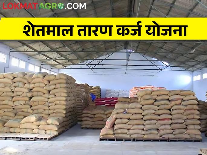 maharashtra State Agricultural Marketing Board's Agricultural Commodity Pledge Loan Scheme | तुम्हाला शेतमालावर तारण कर्ज घ्यायच आहे? ही योजना समजून घ्या.. maharashtra State Agricultural Marketing Board's Agricultural Commodity Pledge Loan Scheme | तुम्हाला शेतमालावर तारण कर्ज घ्यायच आहे? ही योजना समजून घ्या..