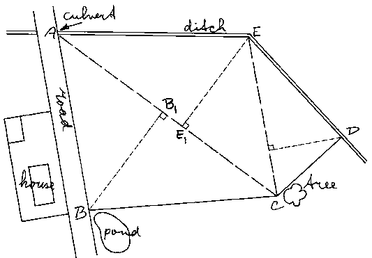  The plot of the woman in Raigad, cheating in the sale, the five accused of Saykigaon court judicial custody | रायगडच्या महिलेची प्लॉट विक्रीत फसवणूक, साकेगावच्या पाचही आरोपींना न्यायालयीन कोठडी