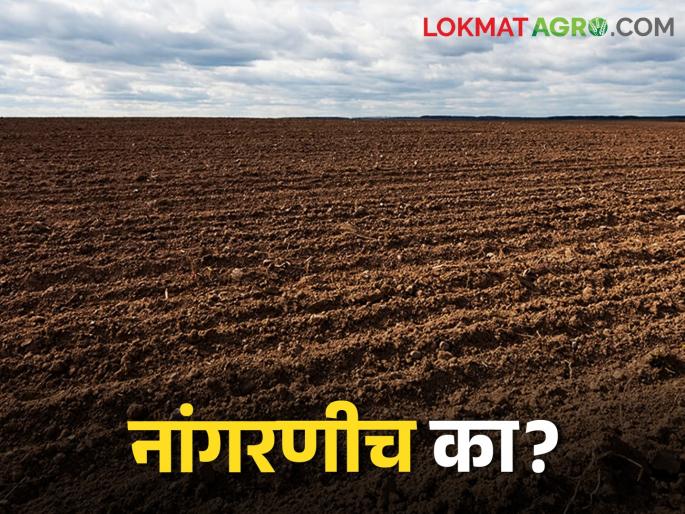 Why ploughing the land? What are the benefits? | Ploughing जमीन का नांगरावी? काय आहेत फायदे Why ploughing the land? What are the benefits? | Ploughing जमीन का नांगरावी? काय आहेत फायदे