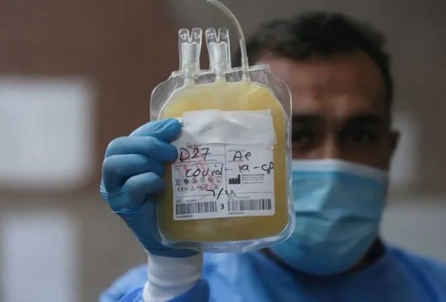 Plasma should not be included in the treatment of covid | कोविडच्या उपचार पद्धतीत प्लाझ्माचा समावेश नको