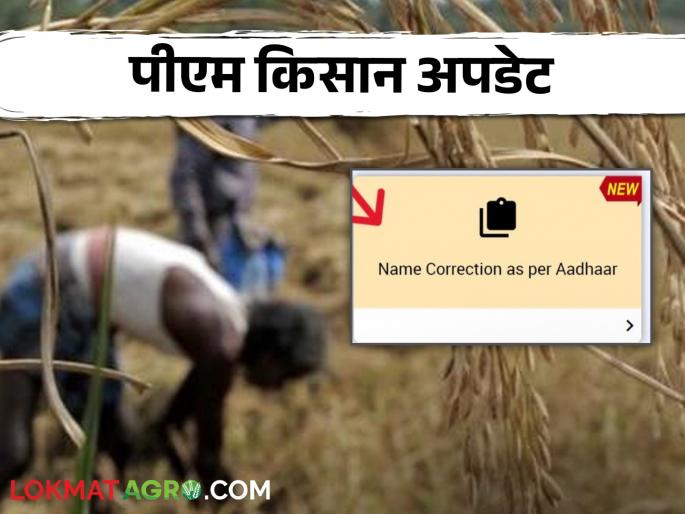 Latest News PM Kisan Update Want to change name in PM Kisan Yojana see siple process, read in detail | PM Kisan Update : पीएम किसान योजनेत नाव बदलायचं आहे? अशी आहे संपूर्ण प्रक्रिया, वाचा सविस्तर Latest News PM Kisan Update Want to change name in PM Kisan Yojana see siple process, read in detail | PM Kisan Update : पीएम किसान योजनेत नाव बदलायचं आहे? अशी आहे संपूर्ण प्रक्रिया, वाचा सविस्तर