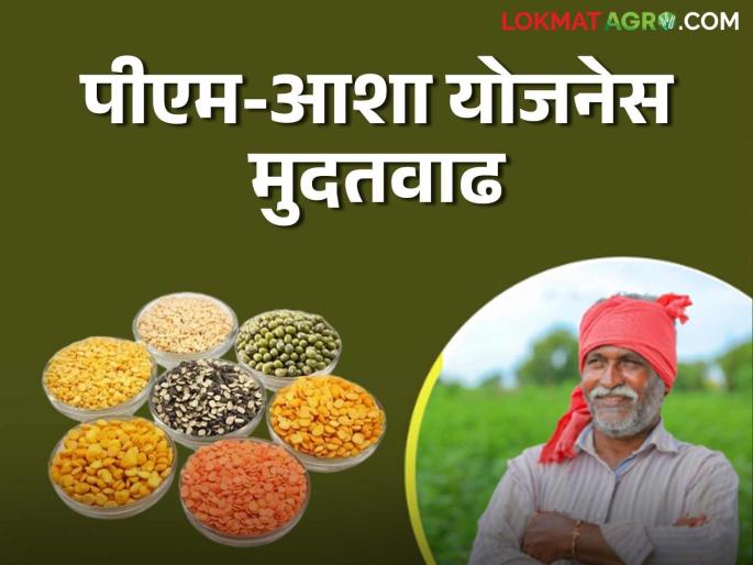 Tur Kharedi : Central government will purchase 100% tur from farmers through central nodal agency | Tur Kharedi : केंद्र सरकार केंद्रीय नोडल एजन्सीमार्फत शेतकऱ्यांकडून १००% तूर खरेदी करणार Tur Kharedi : Central government will purchase 100% tur from farmers through central nodal agency | Tur Kharedi : केंद्र सरकार केंद्रीय नोडल एजन्सीमार्फत शेतकऱ्यांकडून १००% तूर खरेदी करणार