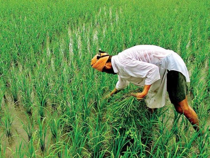 Benefit of PM Kisan for farmers who have paid income tax only once | PM Kisan Scheme: एकदाच प्राप्तिकर भरलेल्या शेतकऱ्यांना पीएम किसानचा लाभ Benefit of PM Kisan for farmers who have paid income tax only once | PM Kisan Scheme: एकदाच प्राप्तिकर भरलेल्या शेतकऱ्यांना पीएम किसानचा लाभ