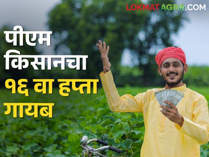 PM Kisan; Prime Minister's direct message came, but there is nothing in the account | पीएम किसान; पंतप्रधानांचा आला थेट मेसेज, खात्यात मात्र काहीच नाही PM Kisan; Prime Minister's direct message came, but there is nothing in the account | पीएम किसान; पंतप्रधानांचा आला थेट मेसेज, खात्यात मात्र काहीच नाही