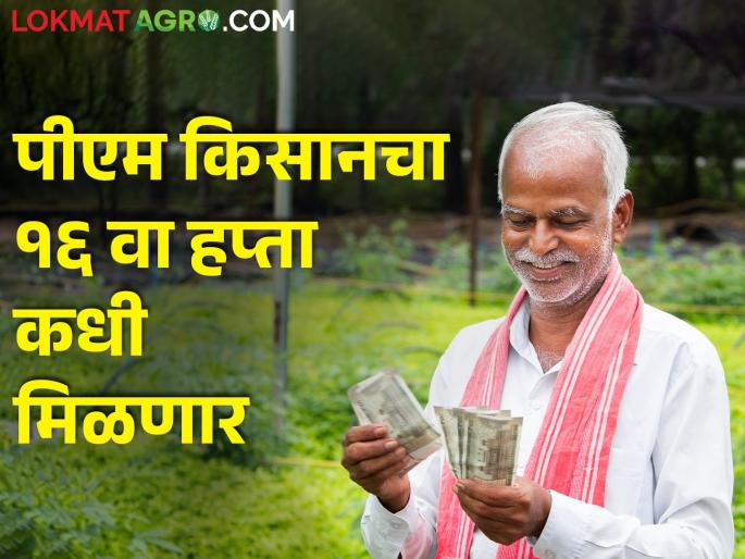 Planning for the 16th installment of 'PM Kisan' निधी; Soon the money will be in the farmer's account | पीएम किसान निधीच्या १६ व्या हप्त्याचे नियोजन; लवकरच पैसे शेतकऱ्यांच्या खात्यावर Planning for the 16th installment of 'PM Kisan' निधी; Soon the money will be in the farmer's account | पीएम किसान निधीच्या १६ व्या हप्त्याचे नियोजन; लवकरच पैसे शेतकऱ्यांच्या खात्यावर