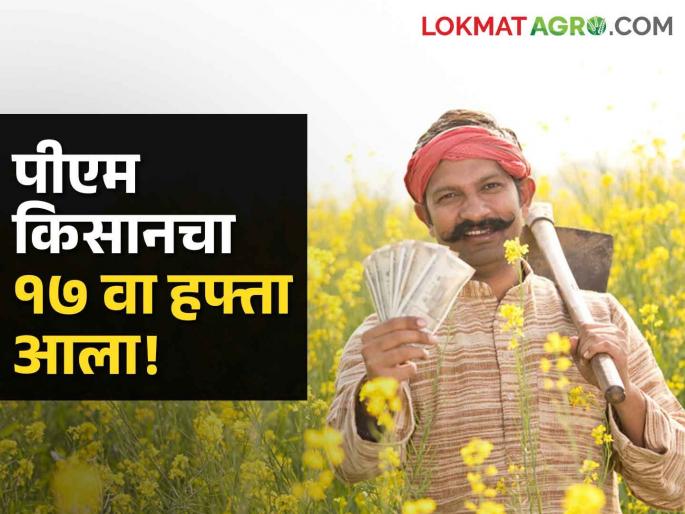 Latest News PM Kisan nidhi 17th Hafta approved for distribution, Read in detail | PM Kisan Nidhi : पीएम किसानचा 17 वा हफ्ता वितरणासाठी मंजुरी, कधी मिळणार हफ्ता? वाचा सविस्तर Latest News PM Kisan nidhi 17th Hafta approved for distribution, Read in detail | PM Kisan Nidhi : पीएम किसानचा 17 वा हफ्ता वितरणासाठी मंजुरी, कधी मिळणार हफ्ता? वाचा सविस्तर
