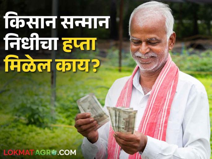 PM Kisan; The farmers of the state will not get the 17th installment of Kisan Samman? What is the matter? | PM Kisan किसान सन्मानचा १७ वा हप्ता राज्यातील शेतकऱ्यांना मिळणारच नाही? काय आहे प्रकरण? PM Kisan; The farmers of the state will not get the 17th installment of Kisan Samman? What is the matter? | PM Kisan किसान सन्मानचा १७ वा हप्ता राज्यातील शेतकऱ्यांना मिळणारच नाही? काय आहे प्रकरण?