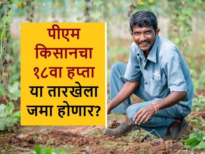 PM Kisan 18th Installment: The 18th installment of PM Kisan Yojana will be credited to farmers' accounts on this date | PM Kisan 18th Instalment: पीएम किसान योजनेचा १८ वा हप्ता या तारखेला येणार शेतकऱ्यांच्या खात्यात? PM Kisan 18th Installment: The 18th installment of PM Kisan Yojana will be credited to farmers' accounts on this date | PM Kisan 18th Instalment: पीएम किसान योजनेचा १८ वा हप्ता या तारखेला येणार शेतकऱ्यांच्या खात्यात?
