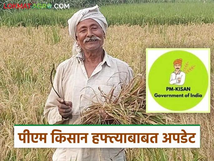 Latest News PM Kisan 20th installment of PM Kisan come and pending installments Read in detail | PM Kisan : पीएम किसानचा 20 वा हफ्ता कधी येणार? पेंडिंग हफ्त्यांचे काय? वाचा सविस्तर 