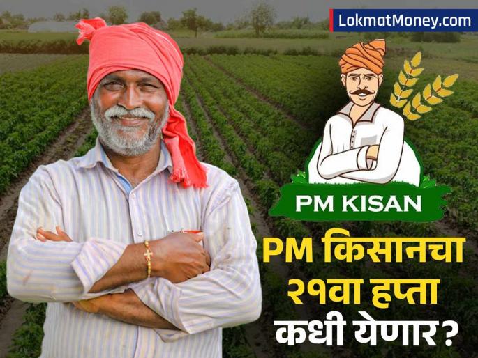PM Kisan 21st Installment Latest Update: Release Expected in December, Not Before Diwali | शेतकऱ्यांनो, दिवाळीआधी PM किसानचा २१वा हप्ता येणार का? वाचा कधी जमा होणार पैसे?