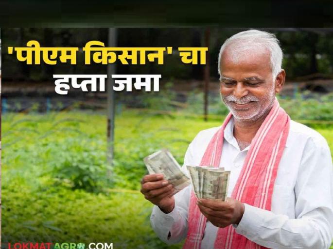 18th installment under PM Kisan Shetkari Samman Yojana on account of 4 lakh 74 thousand 125 farmers of Kolhapur district | ‘पीएम किसान’चा ४.७४ लाख शेतकऱ्यांच्या खात्यात हप्ता, कोल्हापूर जिल्ह्यासाठी ९४.८२ कोटी  18th installment under PM Kisan Shetkari Samman Yojana on account of 4 lakh 74 thousand 125 farmers of Kolhapur district | ‘पीएम किसान’चा ४.७४ लाख शेतकऱ्यांच्या खात्यात हप्ता, कोल्हापूर जिल्ह्यासाठी ९४.८२ कोटी