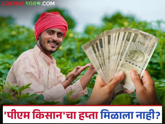 PM Kisan : PM Kisan money has stopped being received; What could be the reasons? Read in detail | PM Kisan : पीएम किसानचे पैसे मिळणे बंद झाले आहेत; काय असू शकतात कारणे? वाचा सविस्तर PM Kisan : PM Kisan money has stopped being received; What could be the reasons? Read in detail | PM Kisan : पीएम किसानचे पैसे मिळणे बंद झाले आहेत; काय असू शकतात कारणे? वाचा सविस्तर