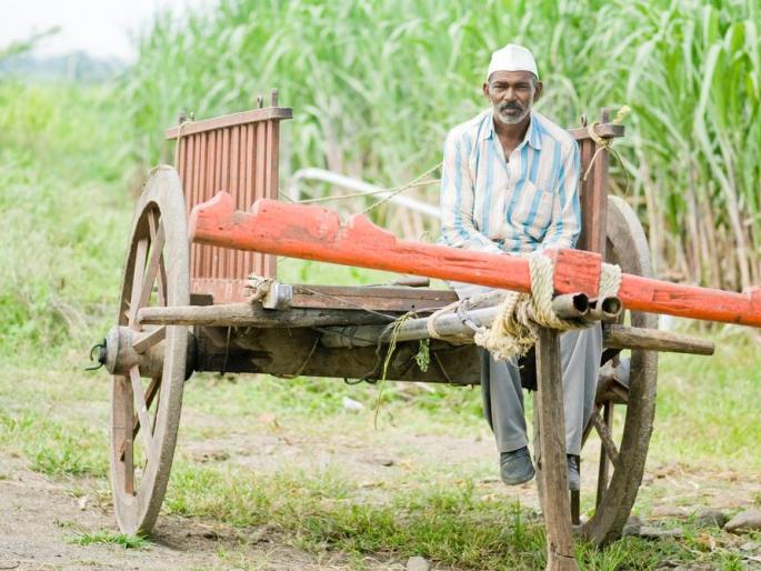 Latest News Pm Pradhan Mantri Kisan Mandhan Yojana for five years know details scheme | PM kmy Scheme : प्रधानमंत्री किसान मानधन योजनेला पाच वर्षे, काय आहे ही योजना? 