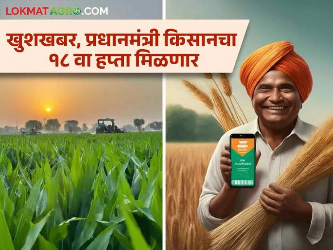 Pradhan Mantri Kisan Samman Nidhi : Good news, the 18th installment of Pradhan Mantri Kisan will be deposited directly into the account on 'this' day. | Pradhan Mantri Kisan Samman Nidhi : खुशखबर, प्रधानमंत्री किसानचा १८ वा हप्ता 'या' दिवशी थेट खात्यात रक्कम जमा होणार Pradhan Mantri Kisan Samman Nidhi : Good news, the 18th installment of Pradhan Mantri Kisan will be deposited directly into the account on 'this' day. | Pradhan Mantri Kisan Samman Nidhi : खुशखबर, प्रधानमंत्री किसानचा १८ वा हप्ता 'या' दिवशी थेट खात्यात रक्कम जमा होणार