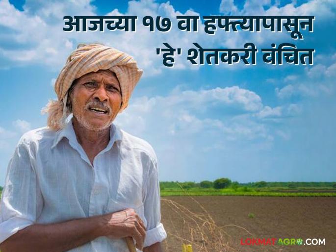 Latest News Today's 17th installment of PM Kisan nidhi will not be available to these farmers | PM Kisan Nidhi : आजचा पीएम किसानचा १७ वा हफ्ता 'या' शेतकऱ्यांना मिळणार नाही, कारण....  Latest News Today's 17th installment of PM Kisan nidhi will not be available to these farmers | PM Kisan Nidhi : आजचा पीएम किसानचा १७ वा हफ्ता 'या' शेतकऱ्यांना मिळणार नाही, कारण....
